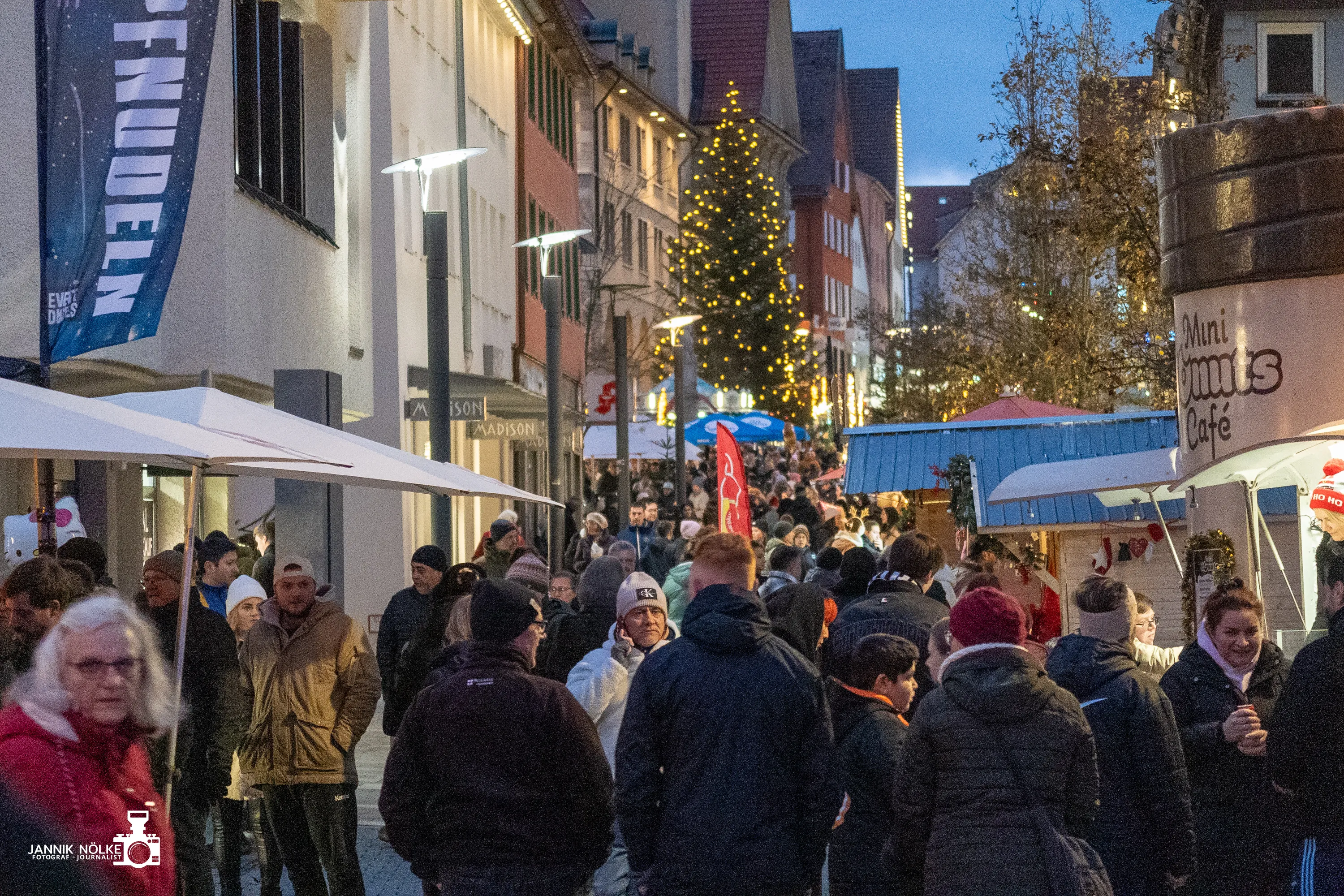 Bild der Galerie